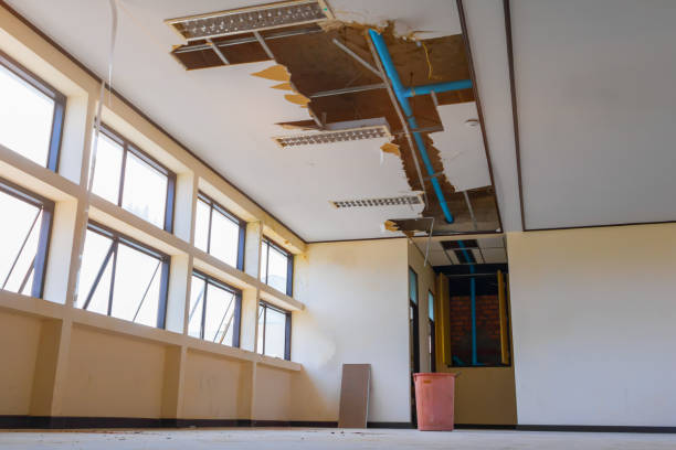 Best 24-hour water damage restoration  in Tylertown, MS