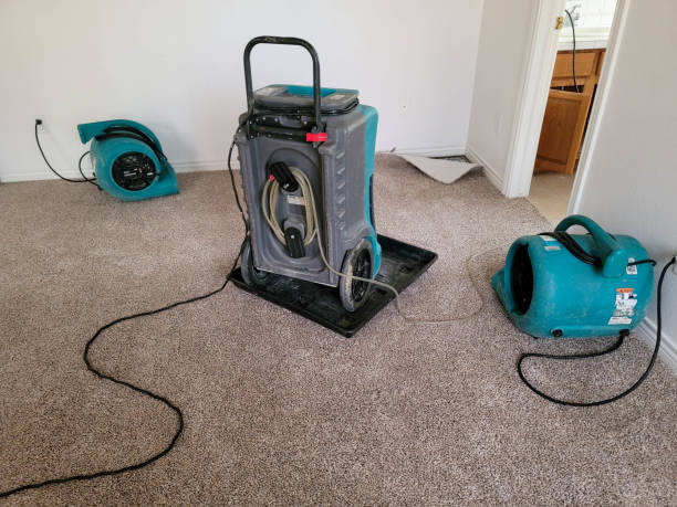 Best Residential water damage restoration  in Tylertown, MS