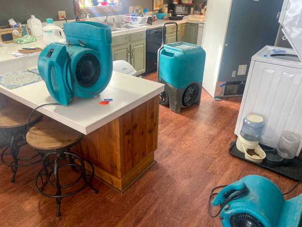 Best Mold removal after water damage  in Tylertown, MS