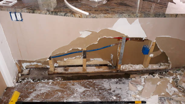 Best Flooded house restoration  in Tylertown, MS