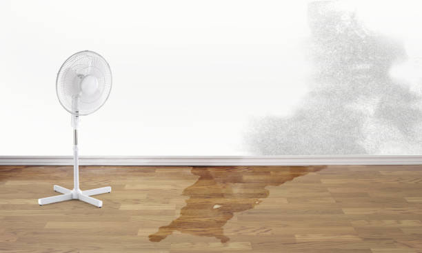 Best Fire Damage Restoration  in Tylertown, MS