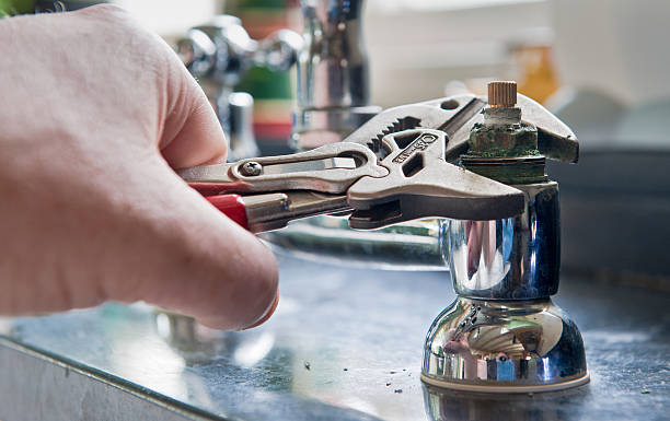 Best Mold removal after water damage  in Tylertown, MS
