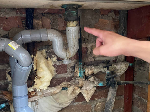 Best Local water damage restoration  in Tylertown, MS