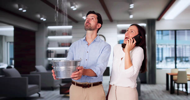 Best Flood damage cleanup  in Tylertown, MS